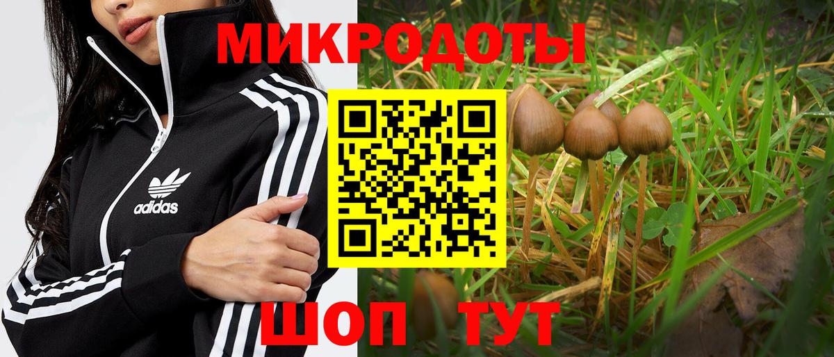 Галлюциногенные грибы ЛСД  Вход с VPN  Назарово  Псилоцибиновые грибы мухоморы 