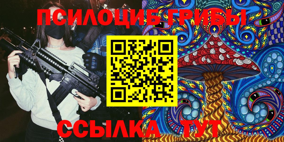 Галлюциногенные грибы Psilocybine cubensis Назарово